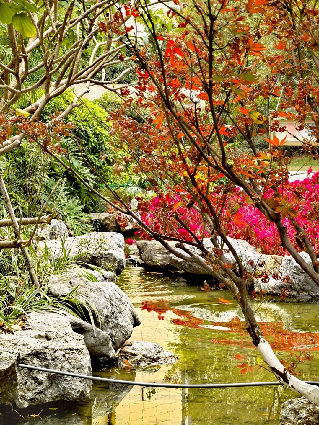 在马銮湾，这个小区园林造景能排第几？