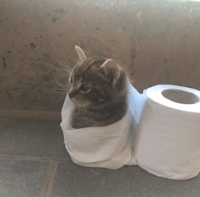 分享图片 ​​​