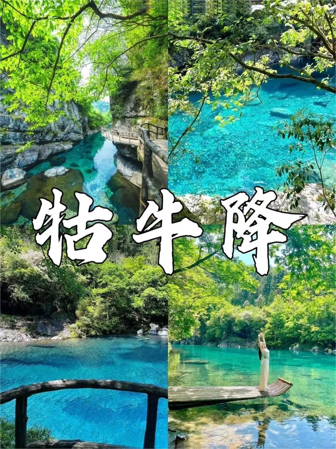 🌿在牯牛降脚下，发现一家包吃住人均120的度假酒店，距离景区仅1.5公里，简直