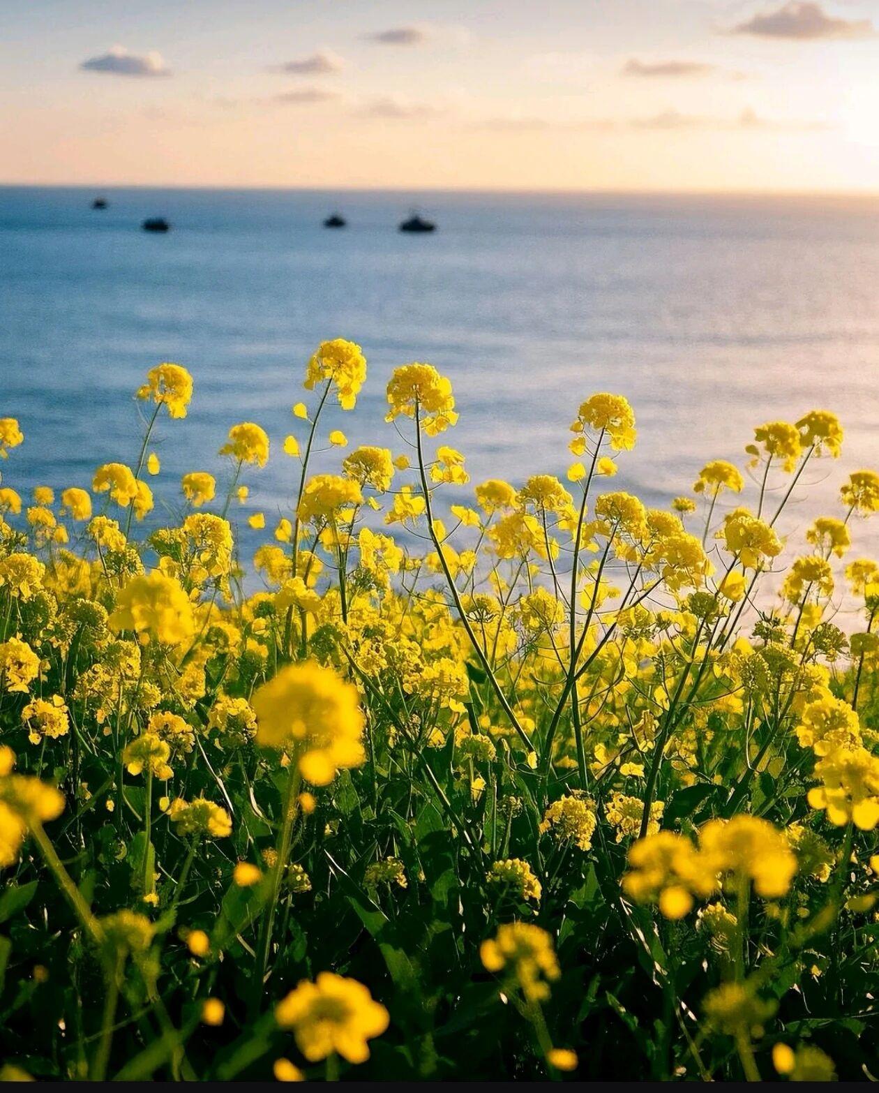 年轻时总想与世界硬碰硬，以为锋芒是铠甲，声高是底气。人到中年，才恍然大悟：真正的