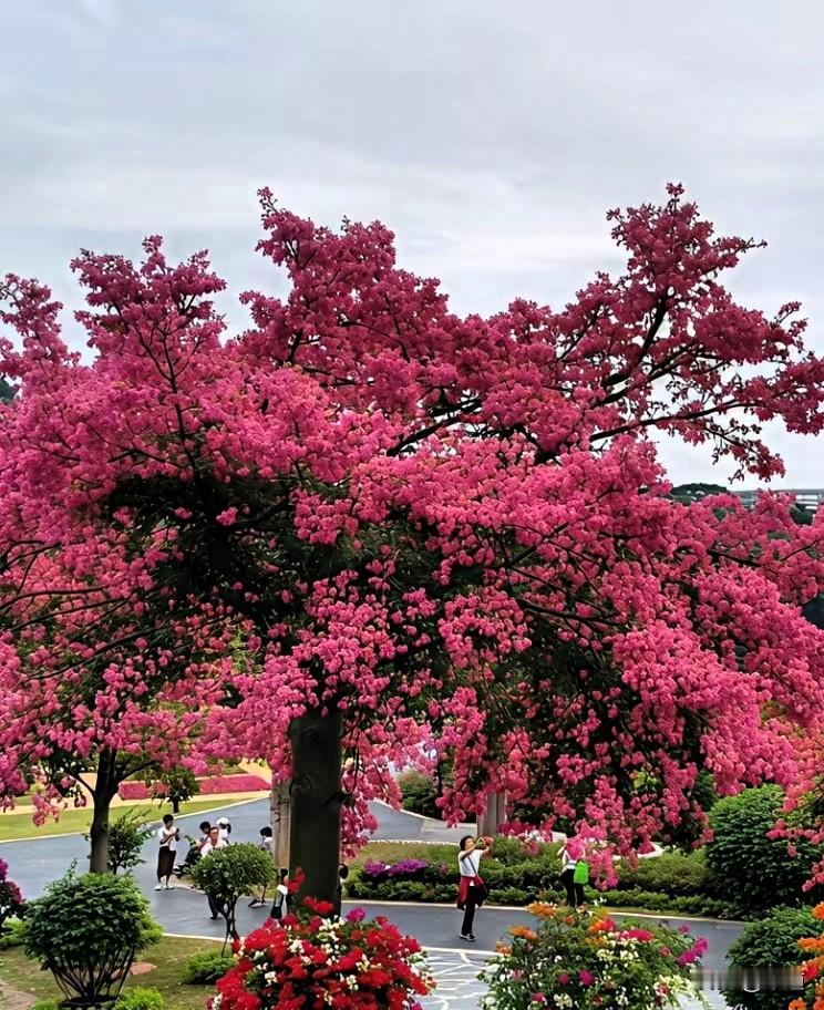 我们修心的目的是什么?放过别人也放过自己，宽茹别人也宽茹自己。