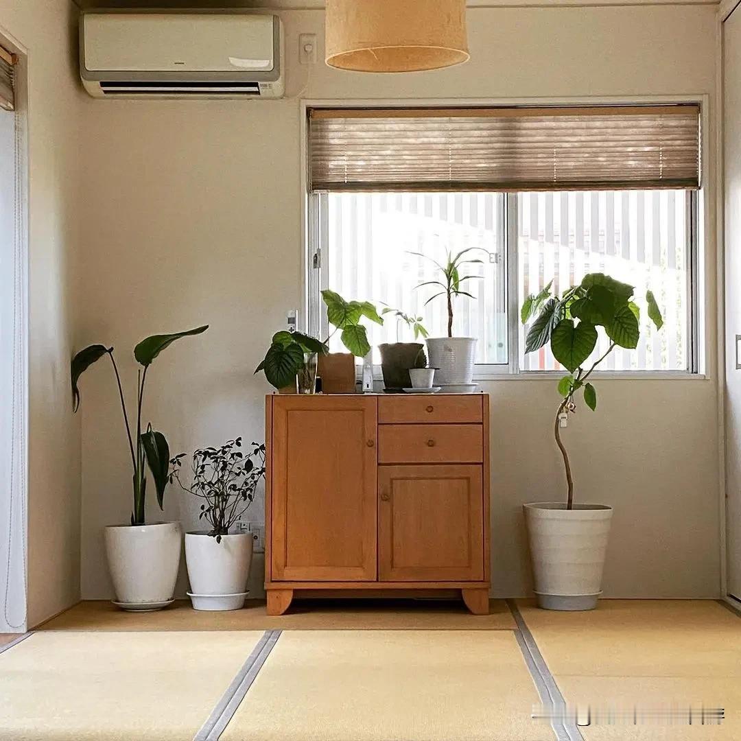 复古原木小家