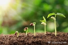 成长的故事前两天去参加选举，我对工作人员说，很抱歉我这是临时投票，给你们添麻烦了