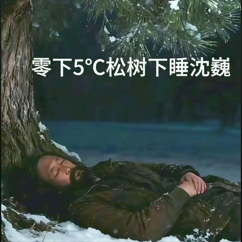 当年流浪的沈巍躺在零下五度的大雪天里，背后是一棵松树，沈巍说过：他不知道自己能不