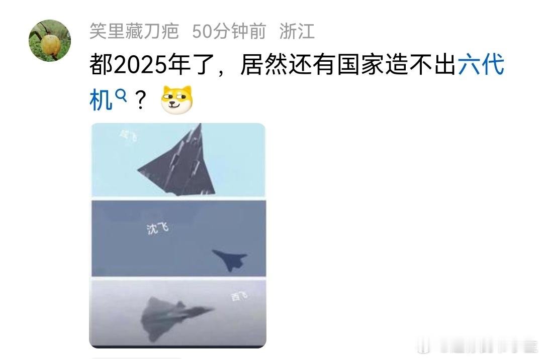 发展中国家都造出来了，发达国家在干嘛[二哈] 