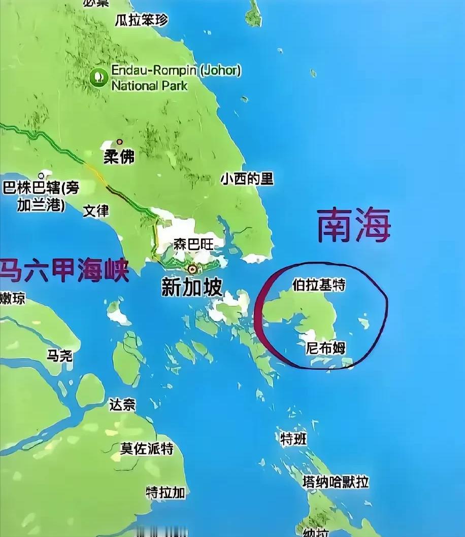 新加坡外长又跳出来了，拍桌子嗷嗷大叫！

麻烦看官老爷们右上角点击一下“关注”，