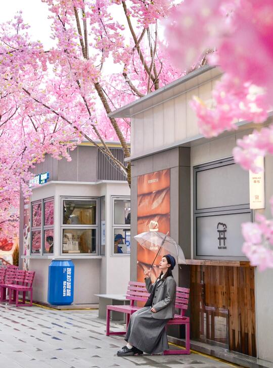 没去东京！在成都！！地铁直达樱花小镇……