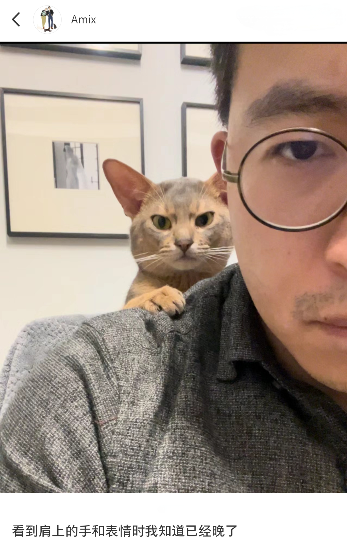 看到肩上的手和表情时我知道已经晚了#猫##宠物# #黄子韬 求婚# ​​​
