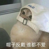 小毛毛爱逛社会
