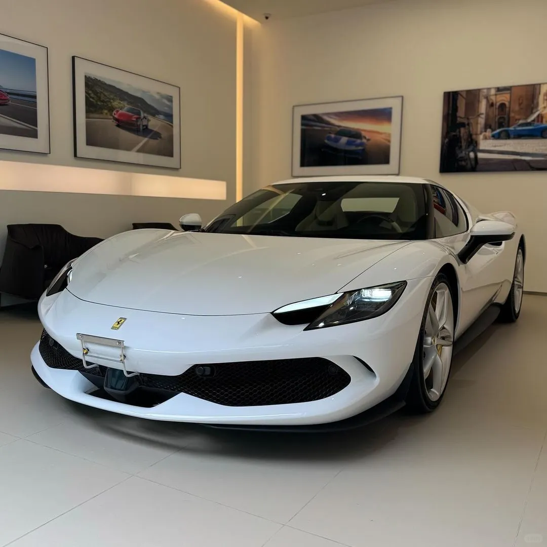🤍296GTS 复古 优雅且小众