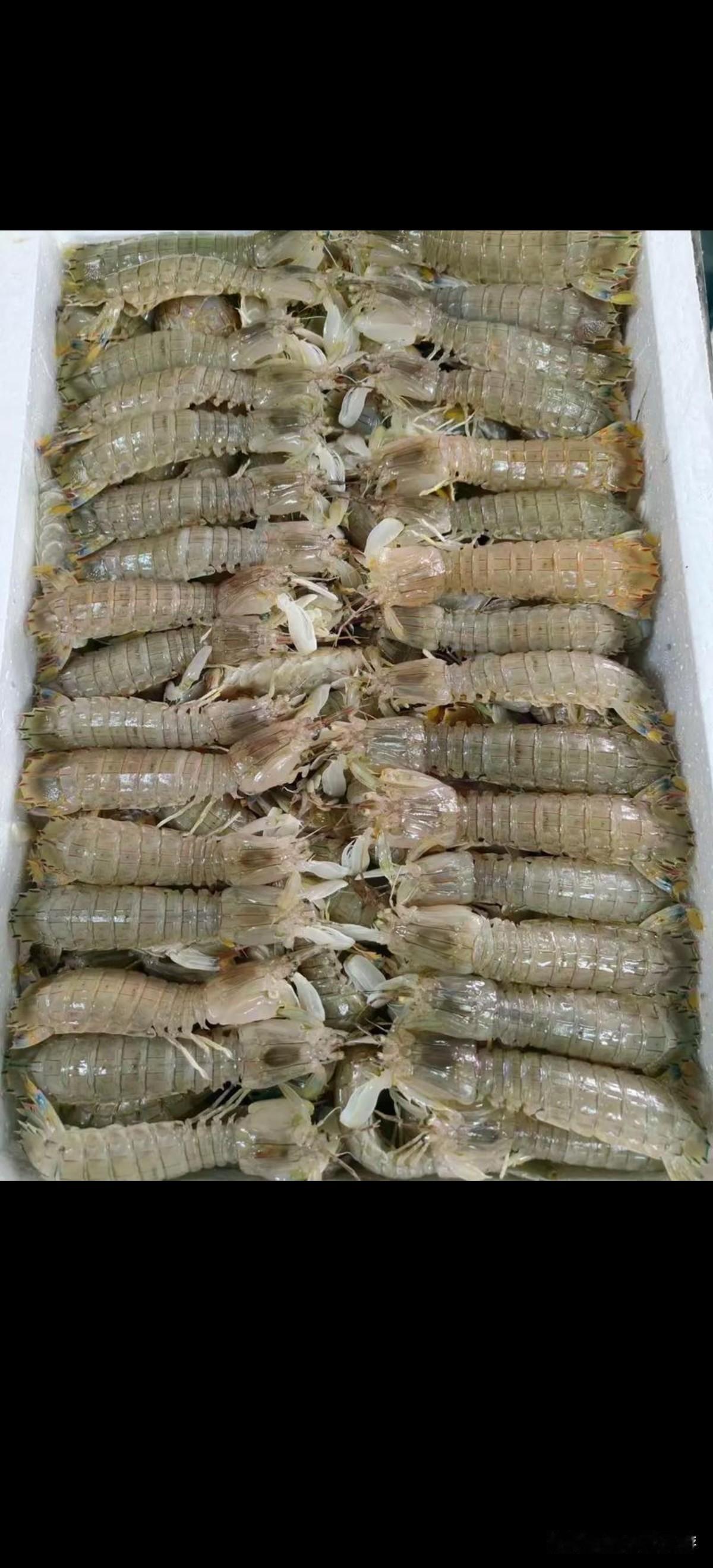 一个人在家做电商，5月4号，春节过后订单最少的一天，不到1500单，总算能让我轻
