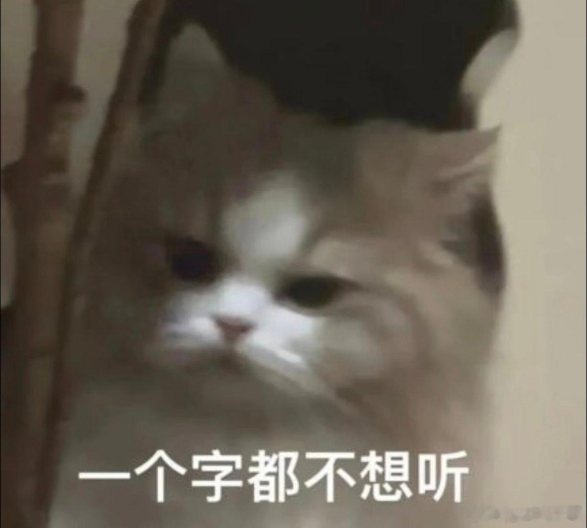 可爱表情包。 