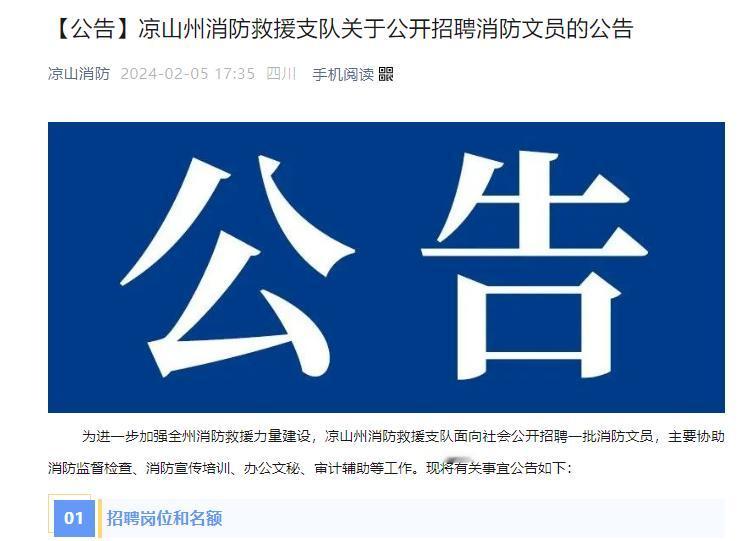 凉山州消防救援支队公开招聘消防文员14人
【待遇】试用期3280元/月。转正后4