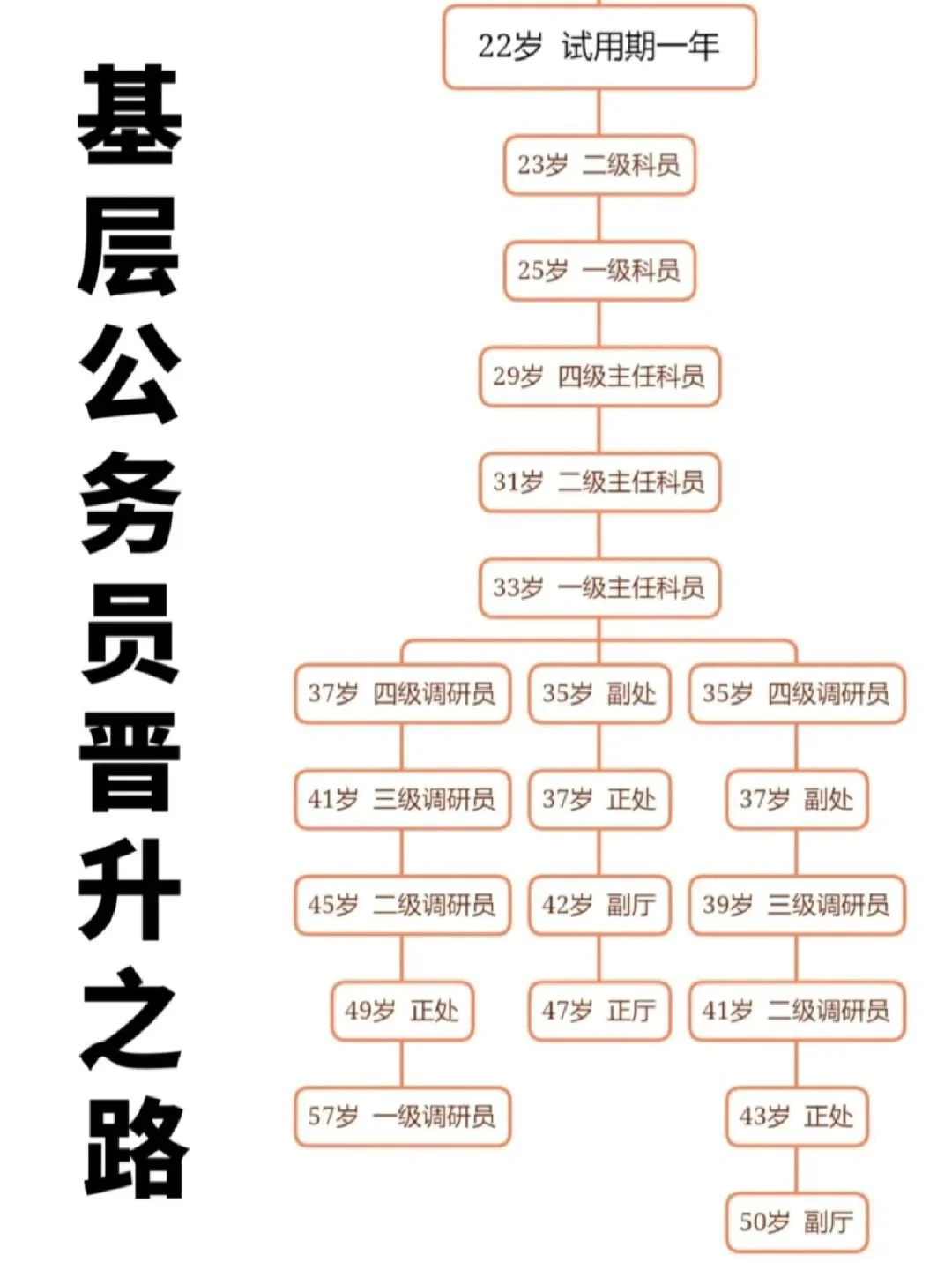 公务员晋升之路