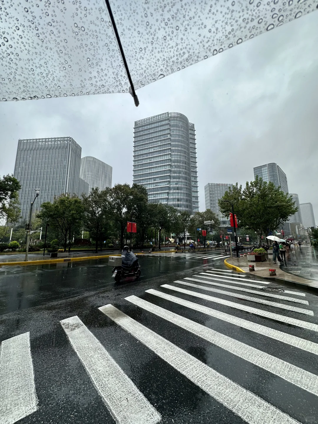 上海毛毛大雨 又湿又冷  什么时候结束🔚