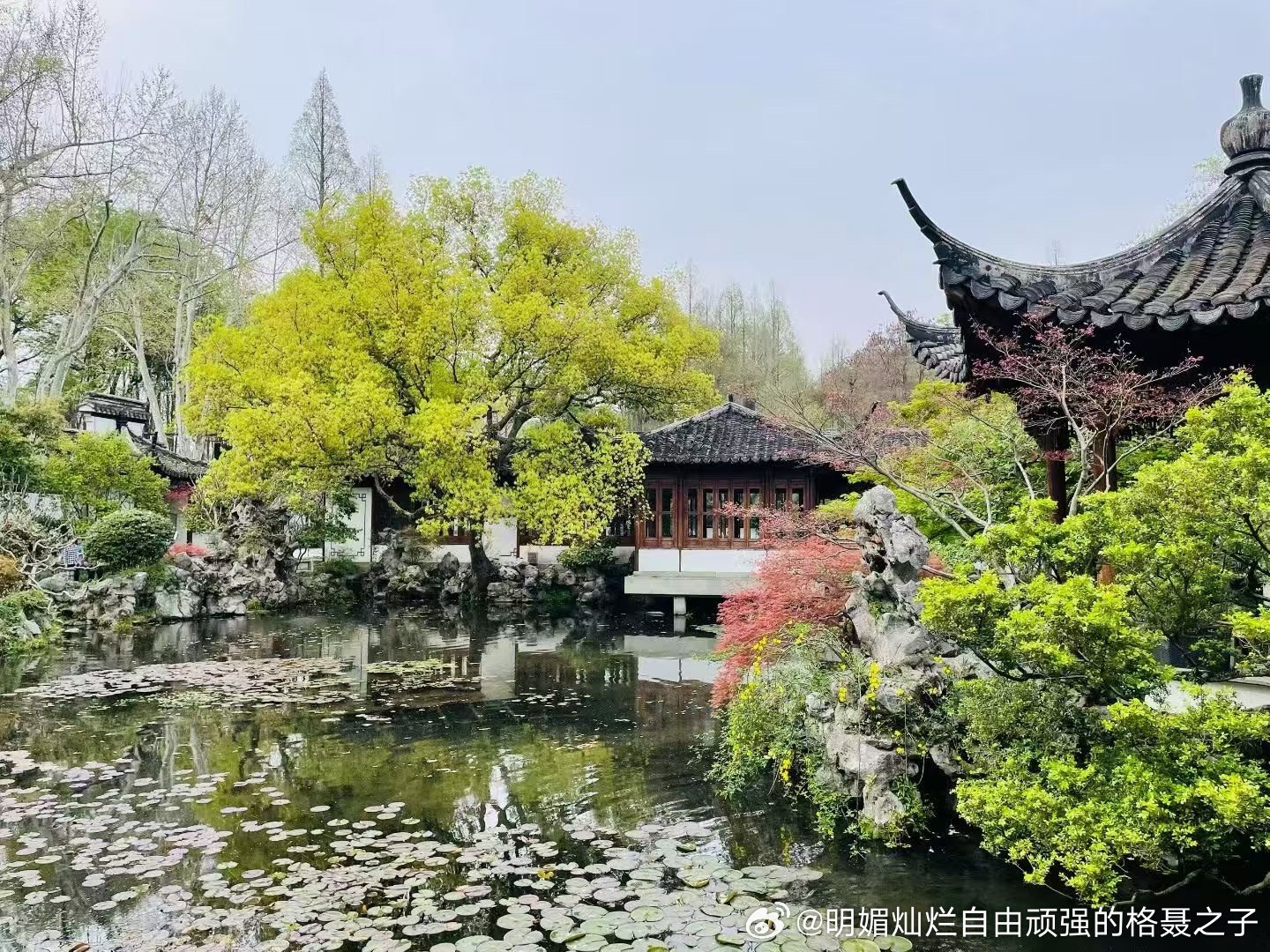 像植物一样扎根，呼吸，感受无垠的天空 