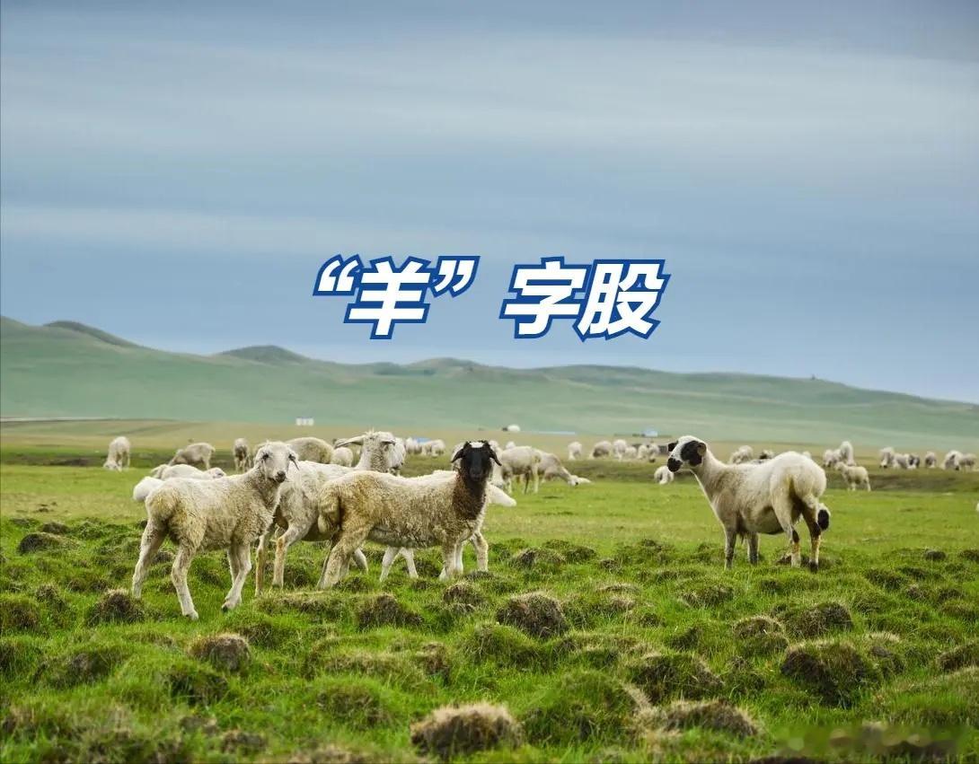 “羊”字股此起彼伏，盘点那些名字带“洋”“阳”“杨”“扬”字的活跃股票！一、前期