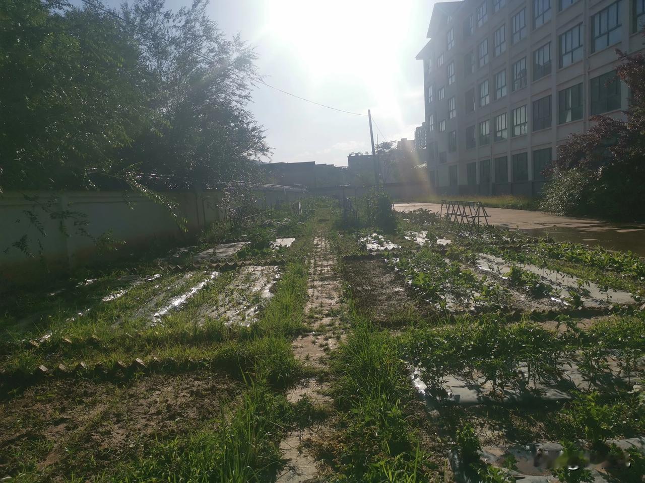 个人认为一所学校之所以时常遭遇家长的“投诉”甚至是“校闹”，与学校里的校长、书记