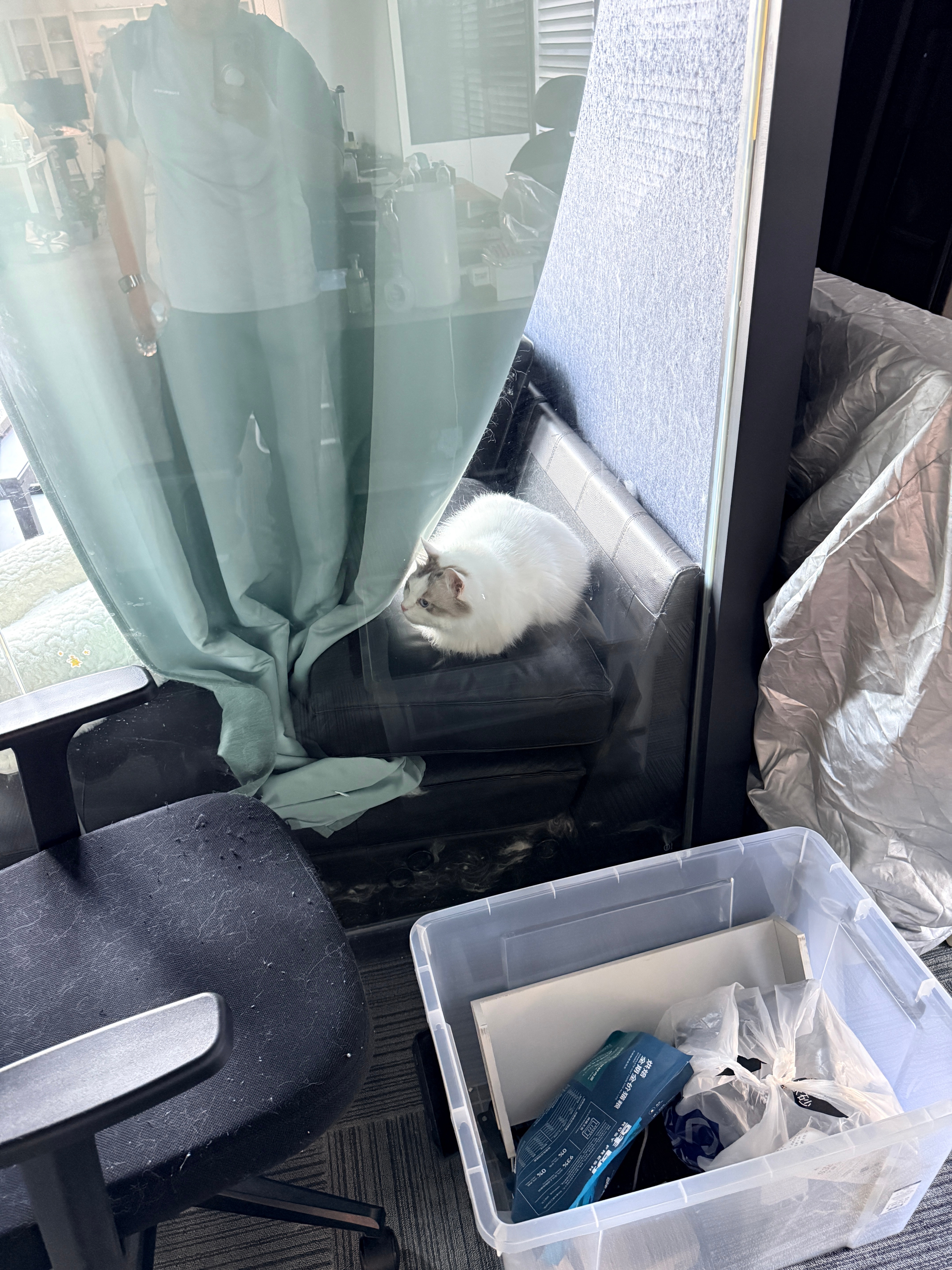 杭州第一个工作节点，撸猫大师杭州撸猫