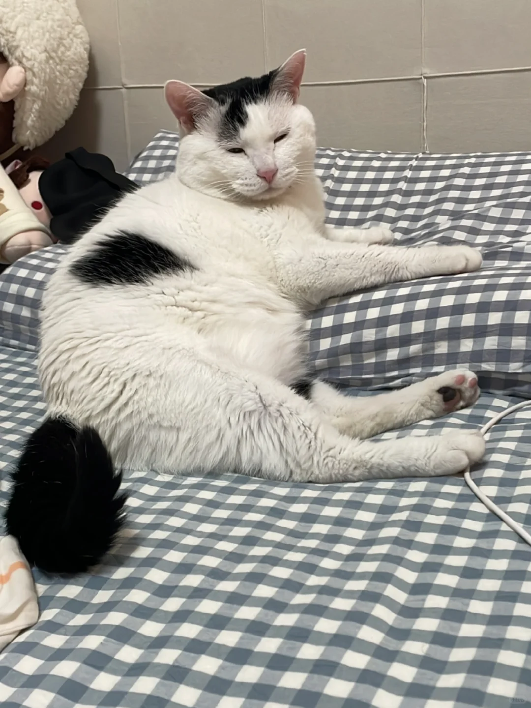 麻烦关灯，谢谢