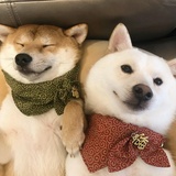 暖树洞热玩体育