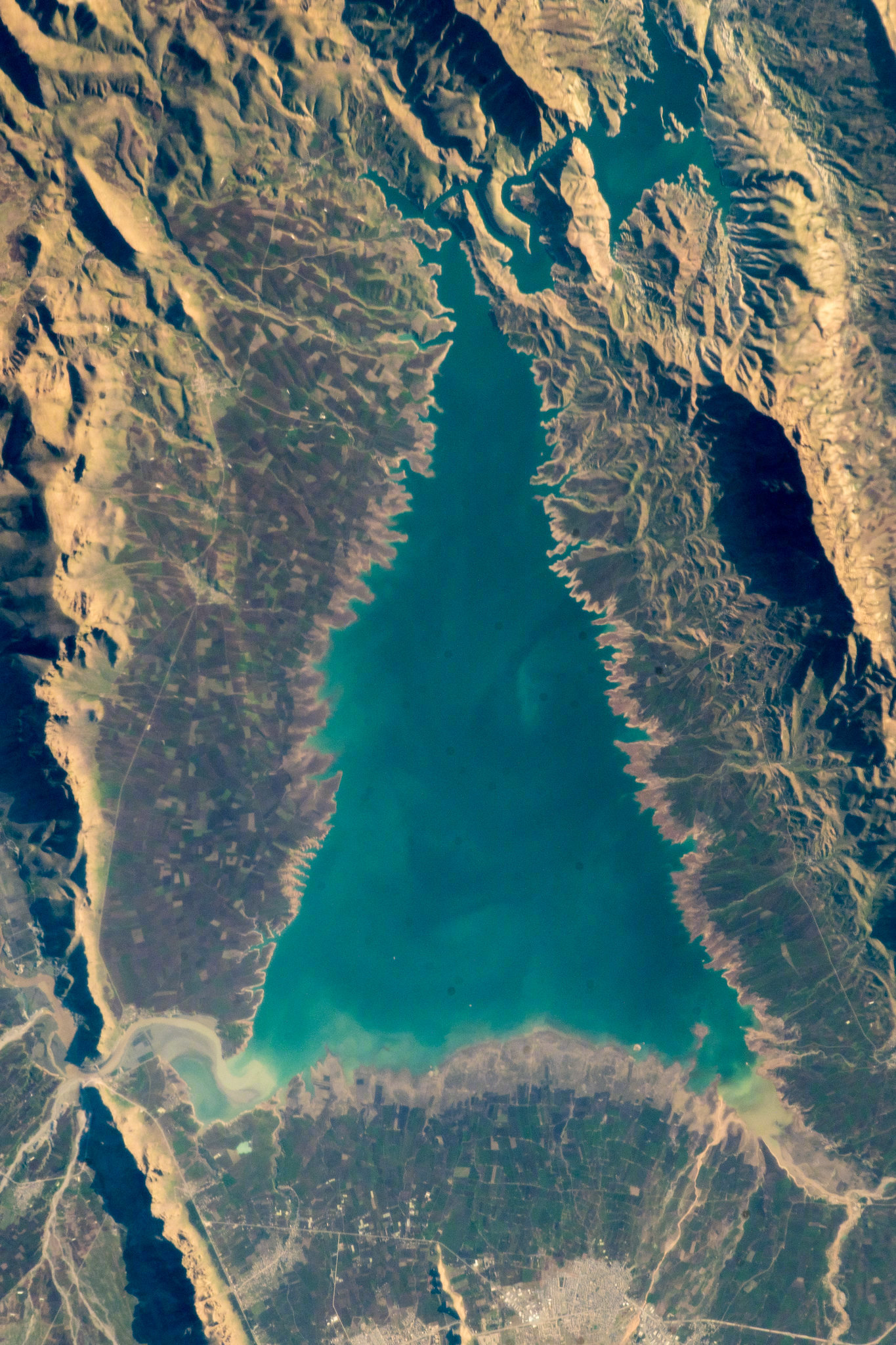 应个景，从太空看到的伊拉克杜尔坎湖，像不像一颗圣诞树，图源ESA宇航员Alexa