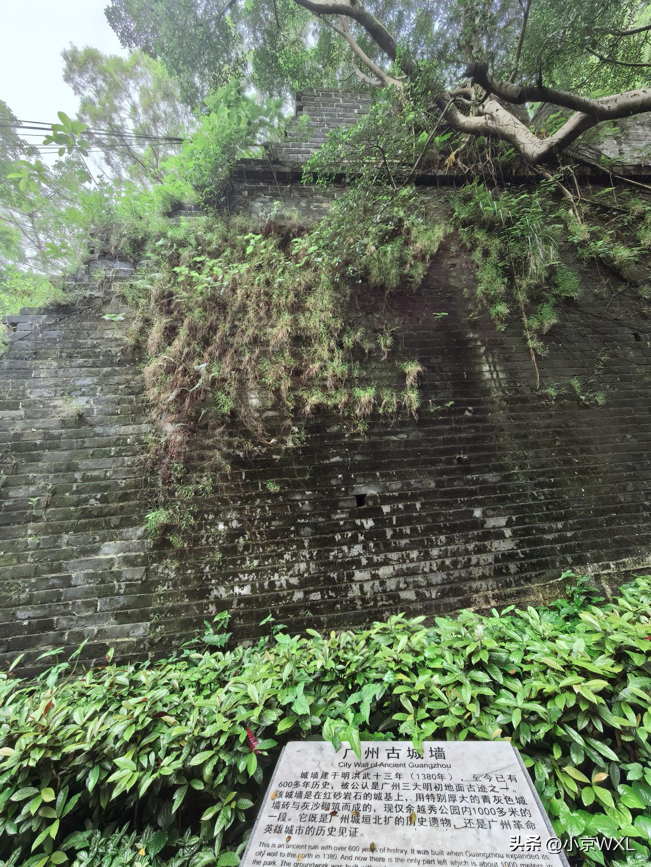 越秀山的古长城
广州越秀公园打卡路线
为了避暑，采取早出早归的运动方式。
昨天六