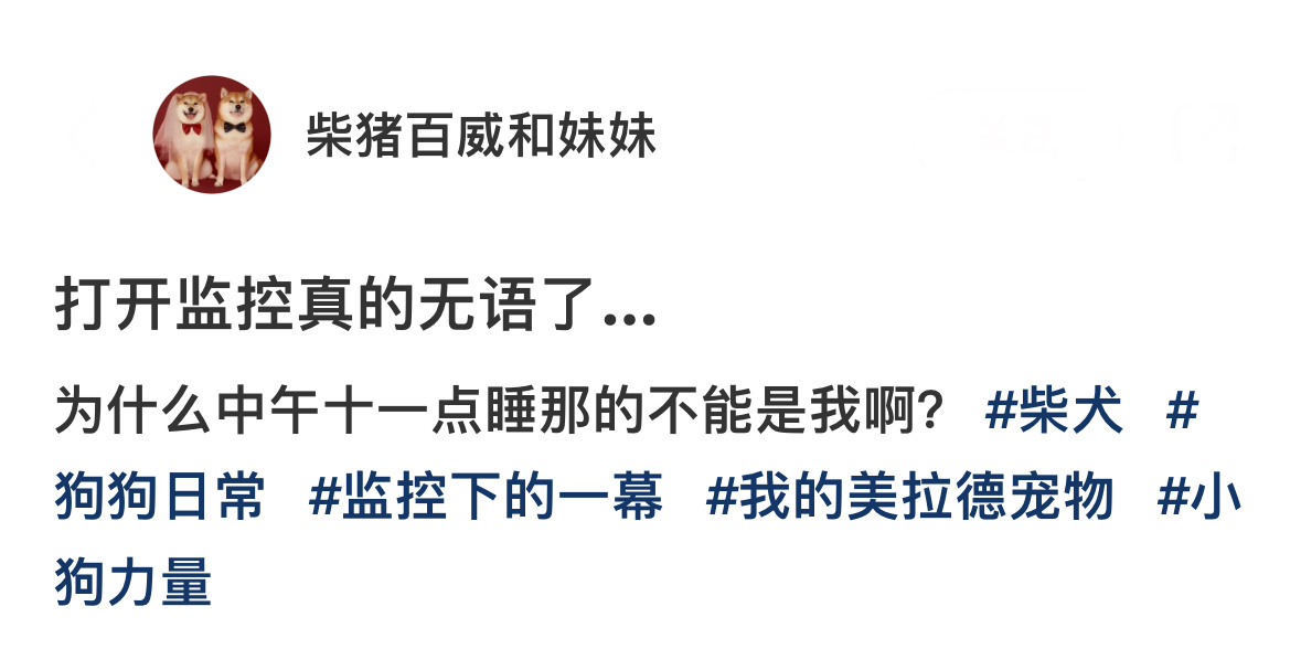 通过我的努力狗子过上了我想过的生活 ​​​