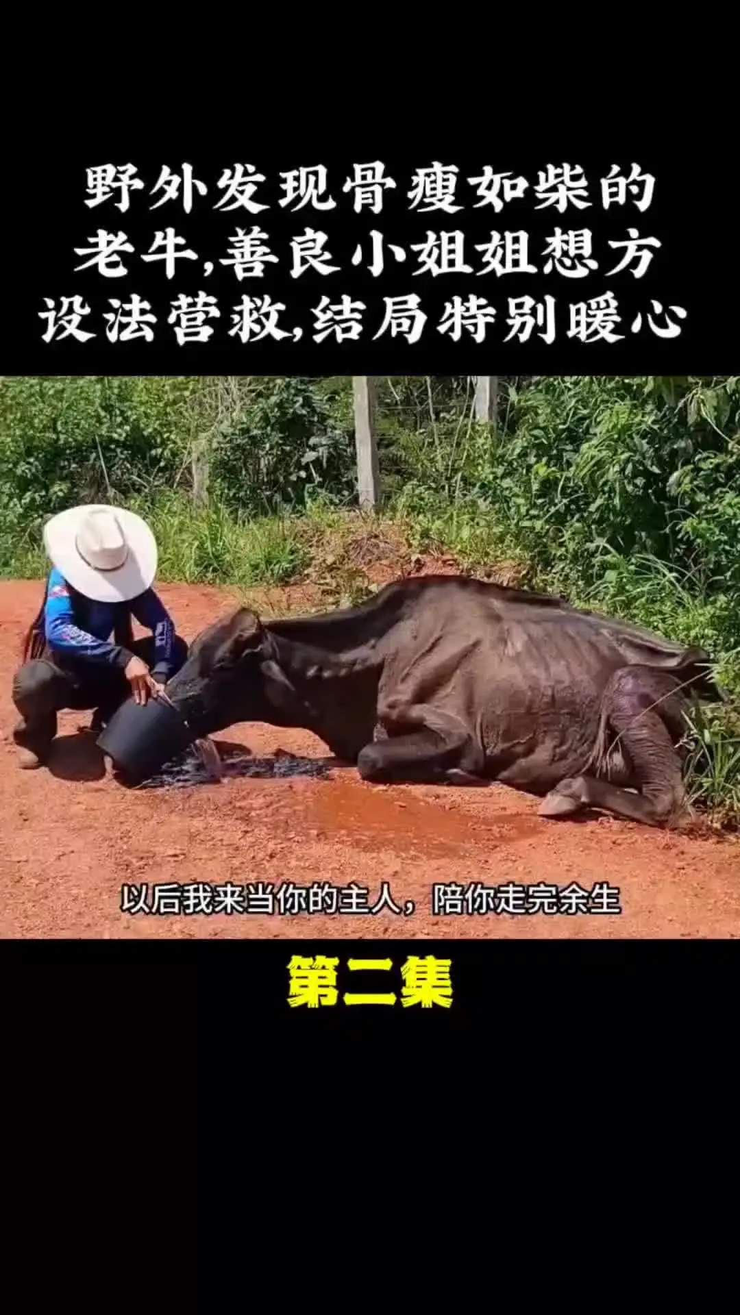 我的观影报告 内容启发搜索