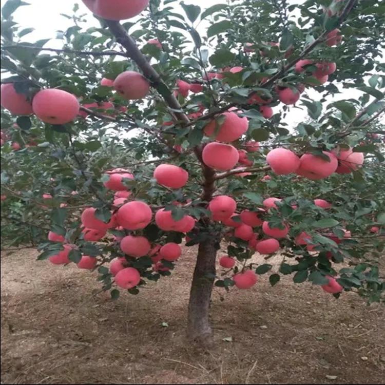 4万，在我眼中都快成天文数字了，这是啥单位啊，年终奖这么高，羡慕嫉妒不恨。