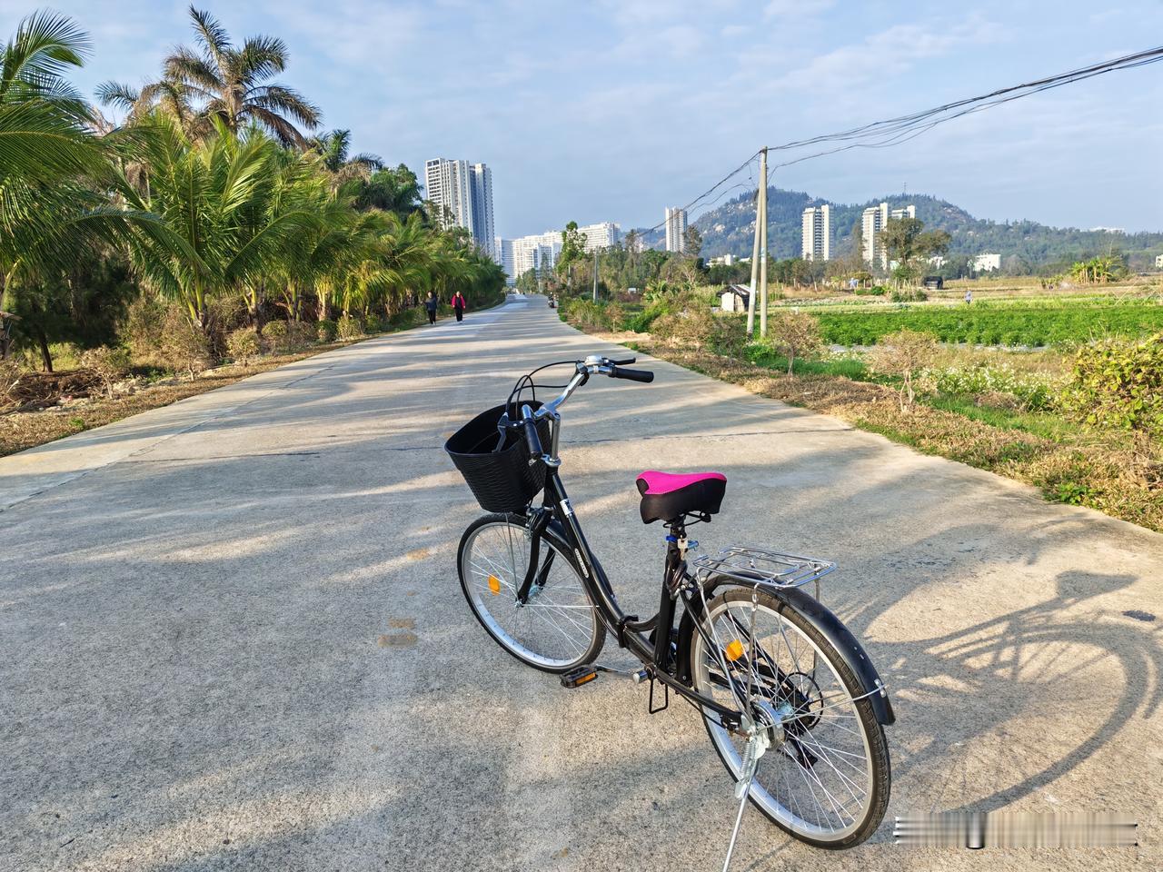 广东省阳西县沙扒镇月亮湾过冬记（三十五）新年第一次骑行

过年合家团圆很好，但也