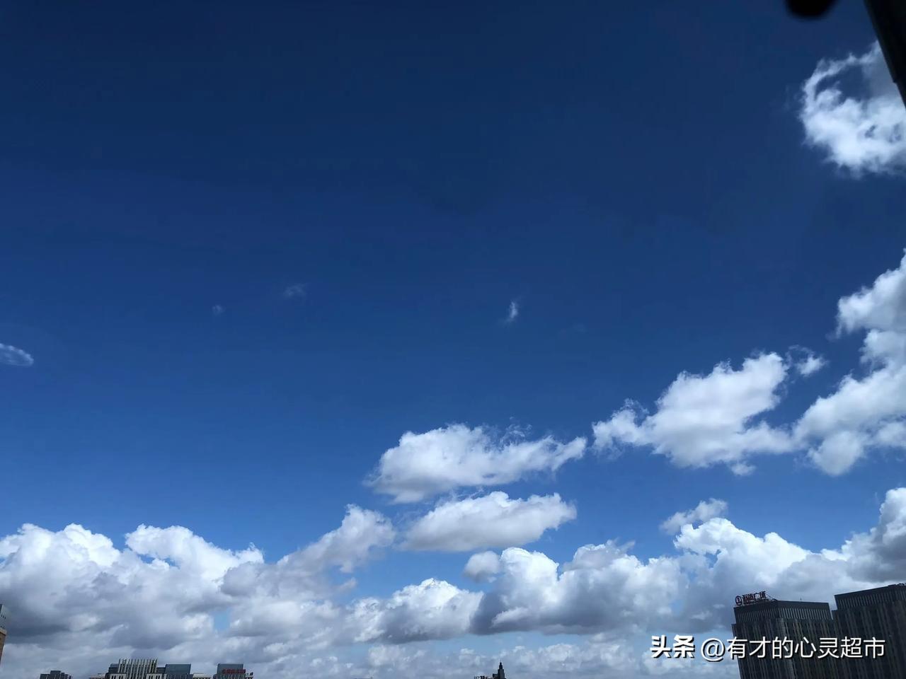 我拍下了我们银川的天空，放眼望去，晴空万里，蓝天白云交相辉映，艳阳高挂，阳光正好