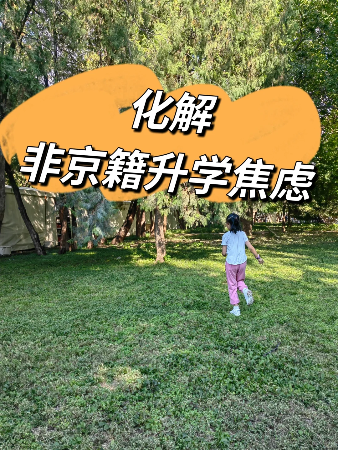 非京籍升学不用焦虑，反倒会提前上岸！