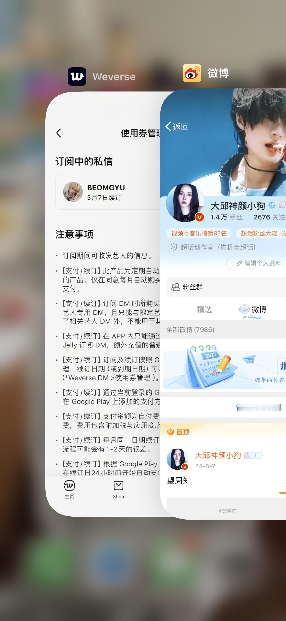 杋吧dm1月审核 