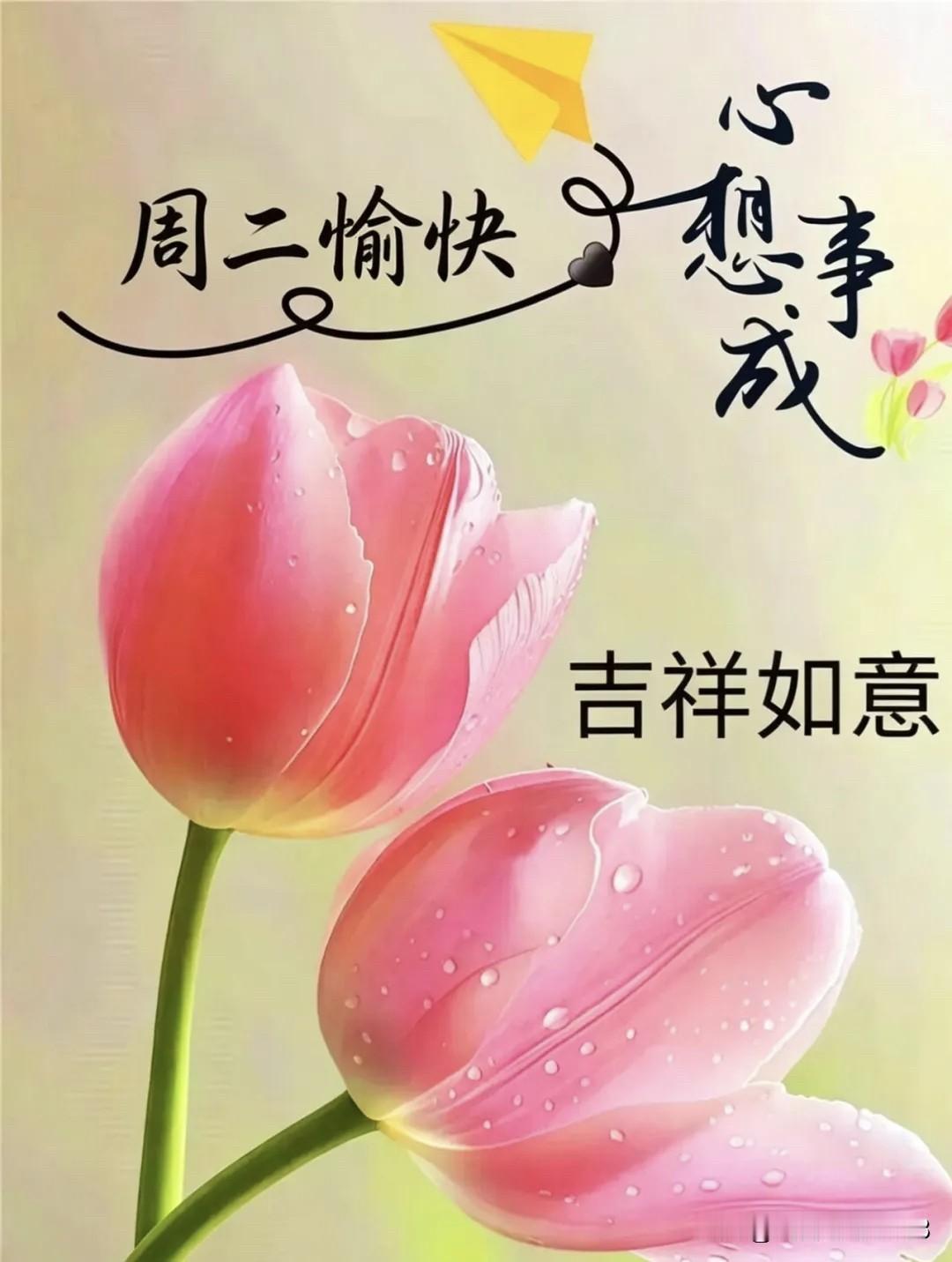 亲爱的朋友，早上好！🌅
今天是 2026年7月28日 星期二，农历六月十五，满