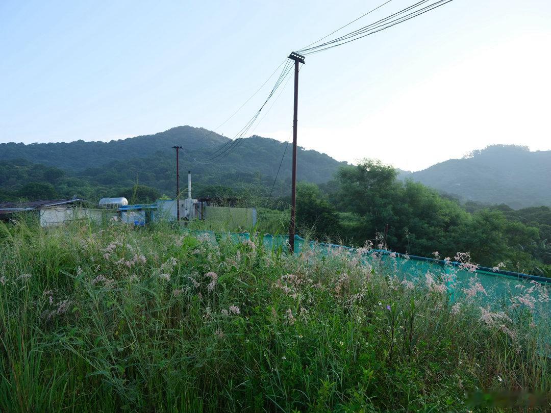 又是清朗朗的一天，广州黄埔元贝路附近记录生活 富士GF35-70 广州·广东歌舞