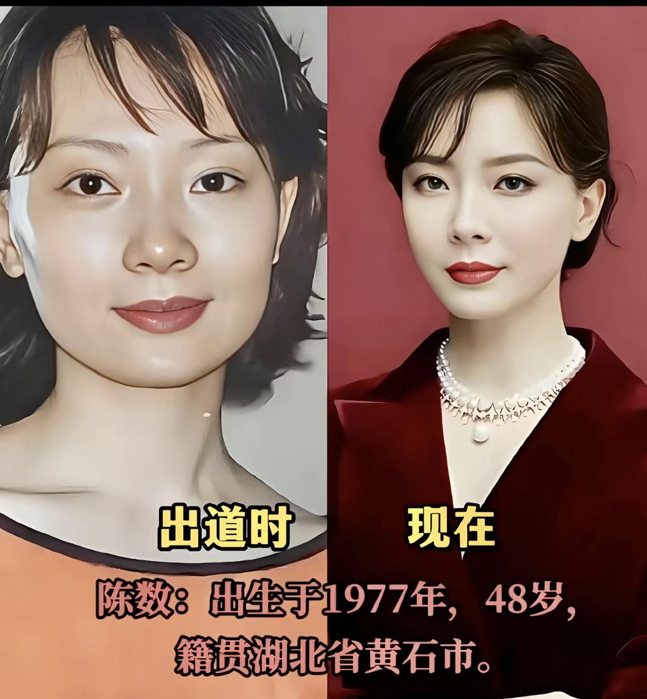 陈数现在跟年轻时基本上没什么区别，就是脸看着稍微小了一点。有钱就是保养的好，要不