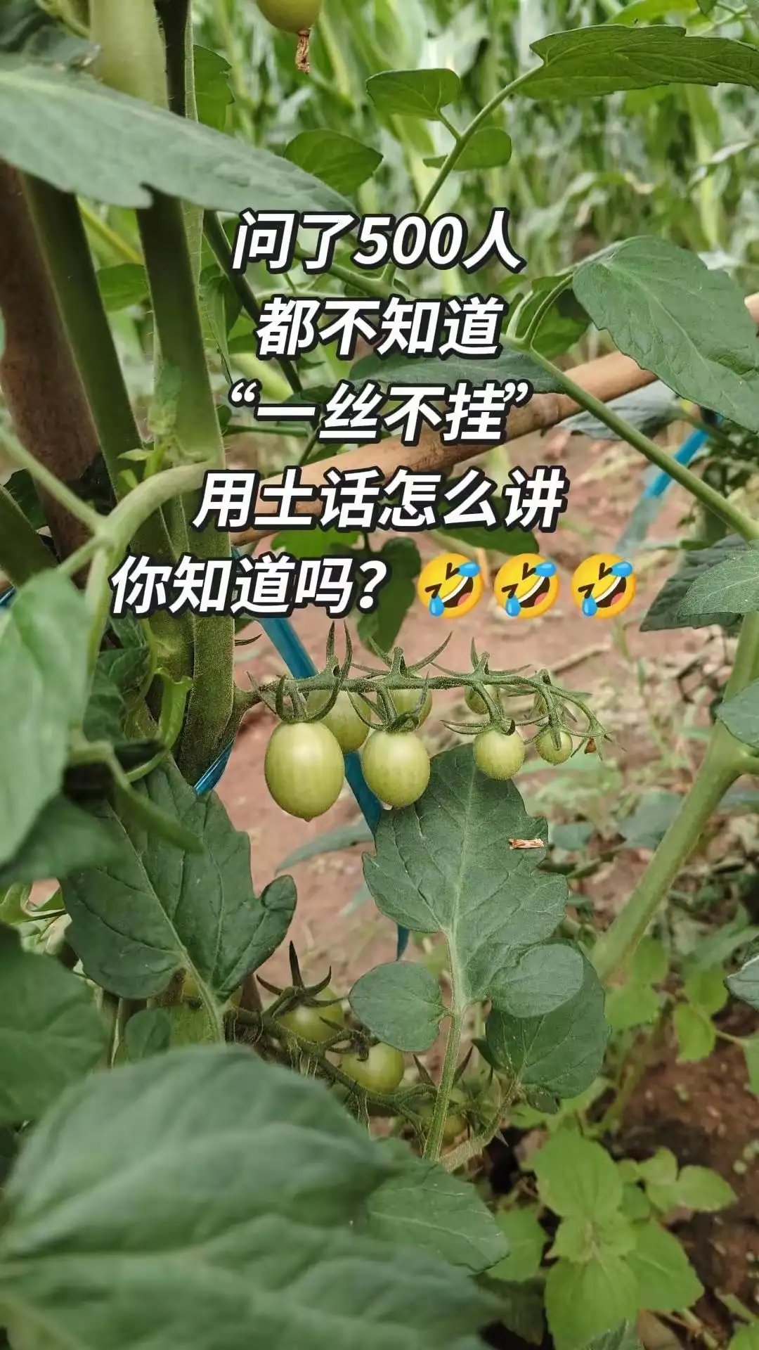 怎么说 
