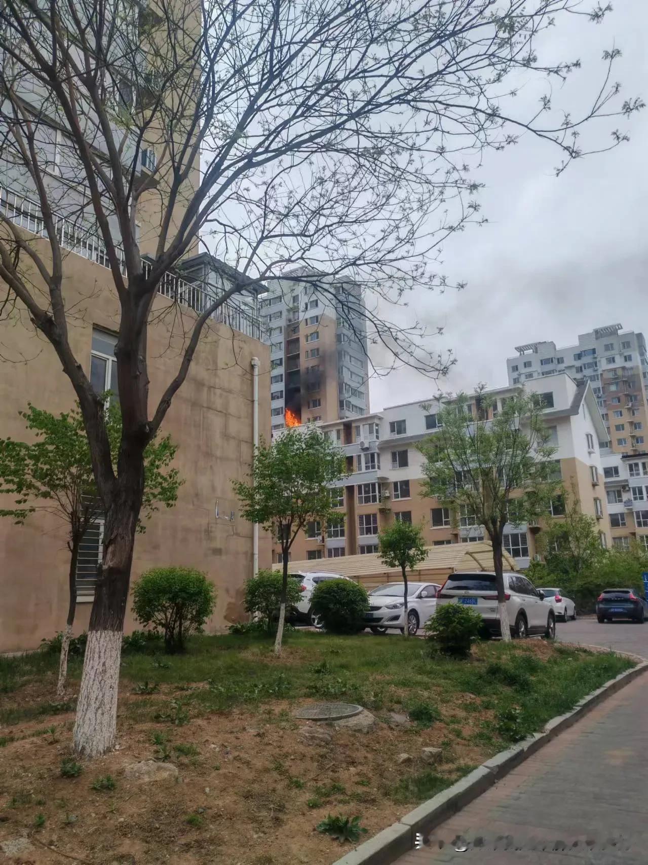 我家附近的一个小区着火了，119到的非常快，灭火及时，没有造成更大伤害。听说当时
