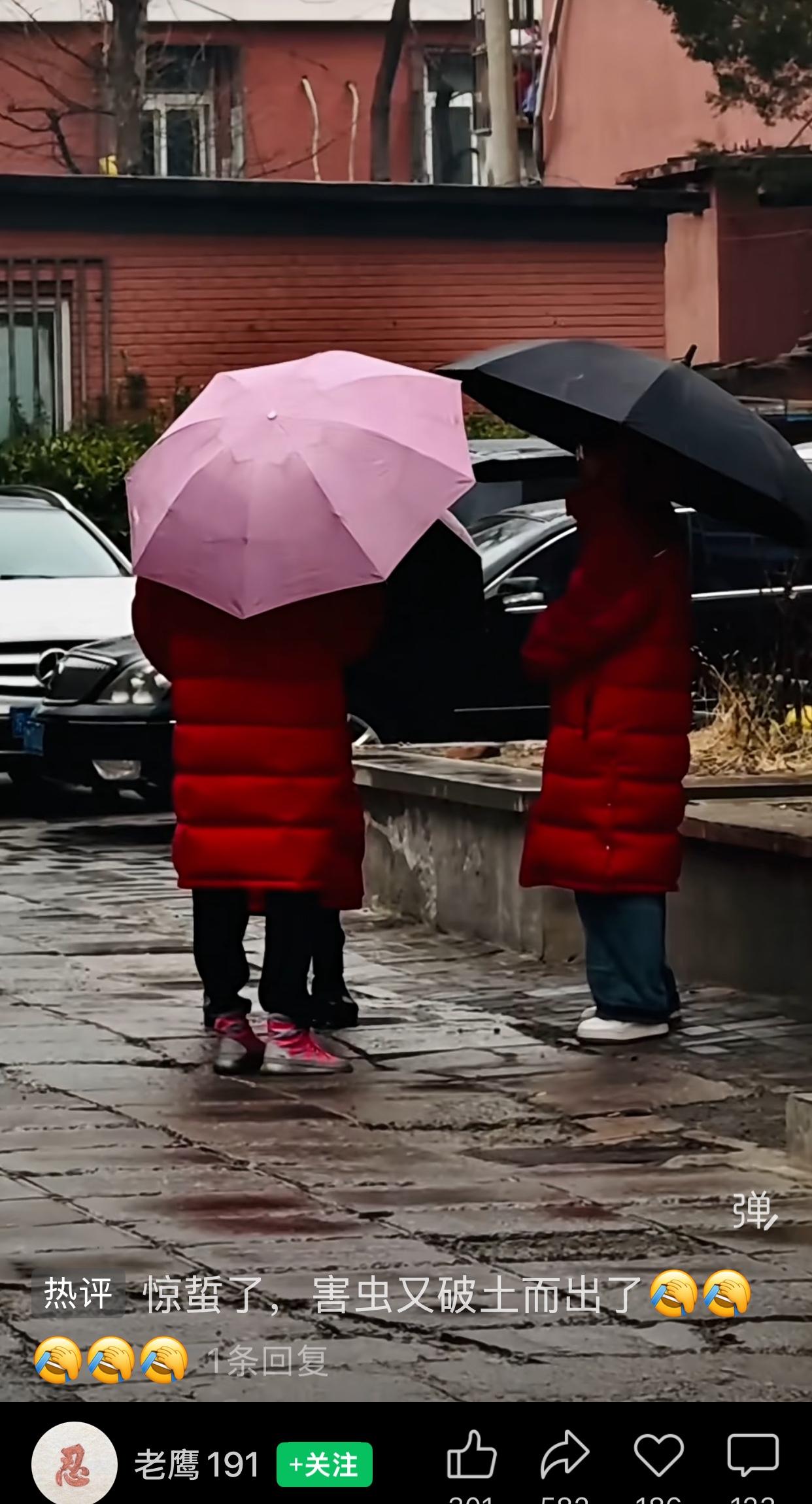 此隅风光自成画卷，独一份的秀色在眼前缓缓铺展