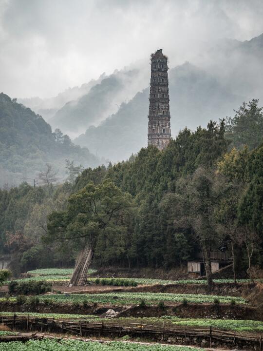 里跟风最成功的一次！！！