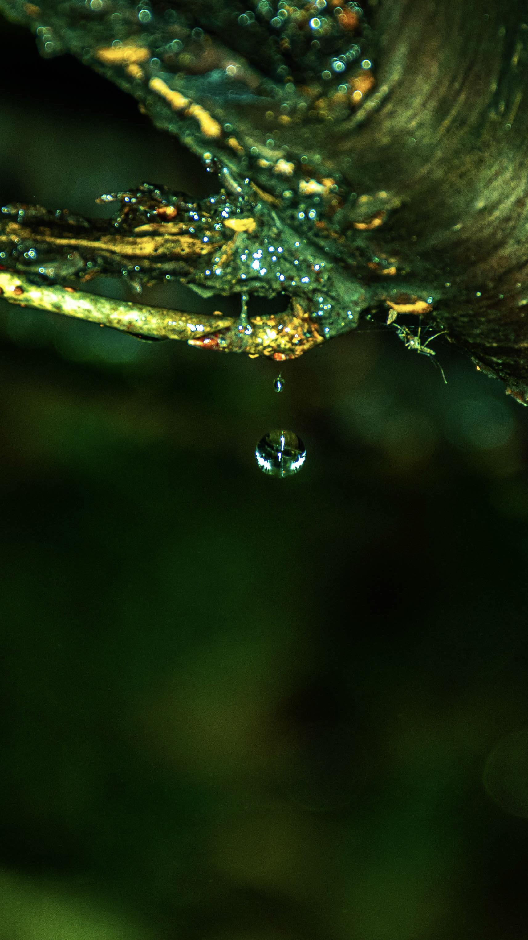 可以永远相信尼康对于动态的捕捉，放大5倍。