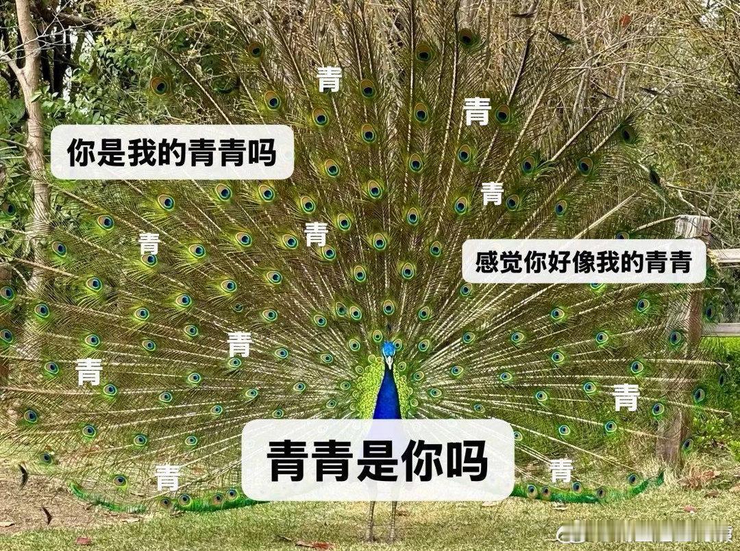 徐正溪回复孟子义感觉我的命里有你徐正溪问孟子义青春是你吗孟子义分享日常动态，徐正