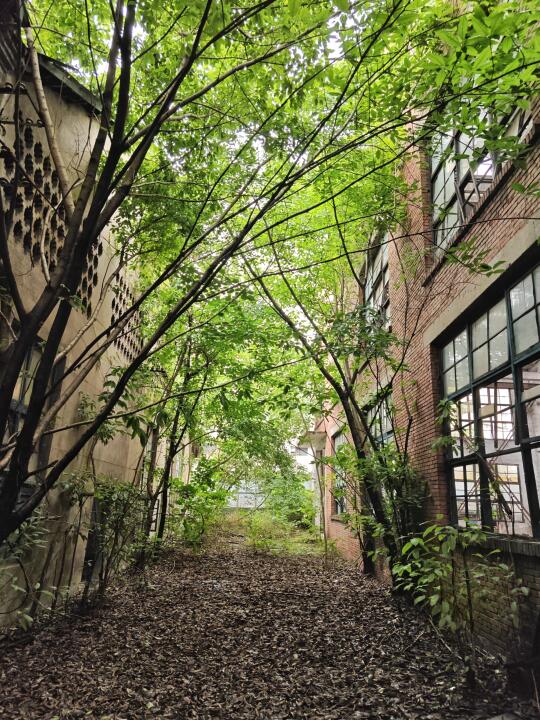 沙区某个即将开发的地方(citywalk353)