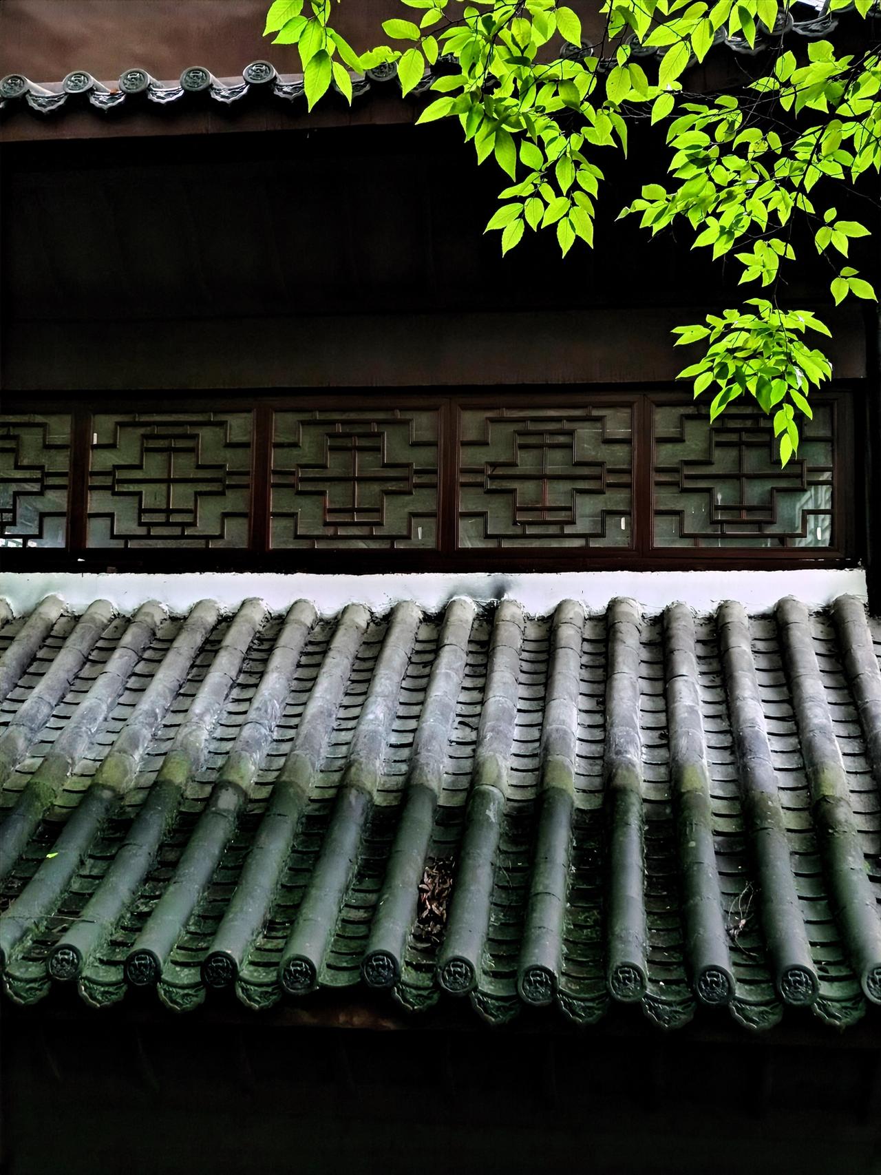 福州龙泉寺墙上“是非以不辩为解脱”，这出自《百丈清规》。“是非以不辩为解脱”很有