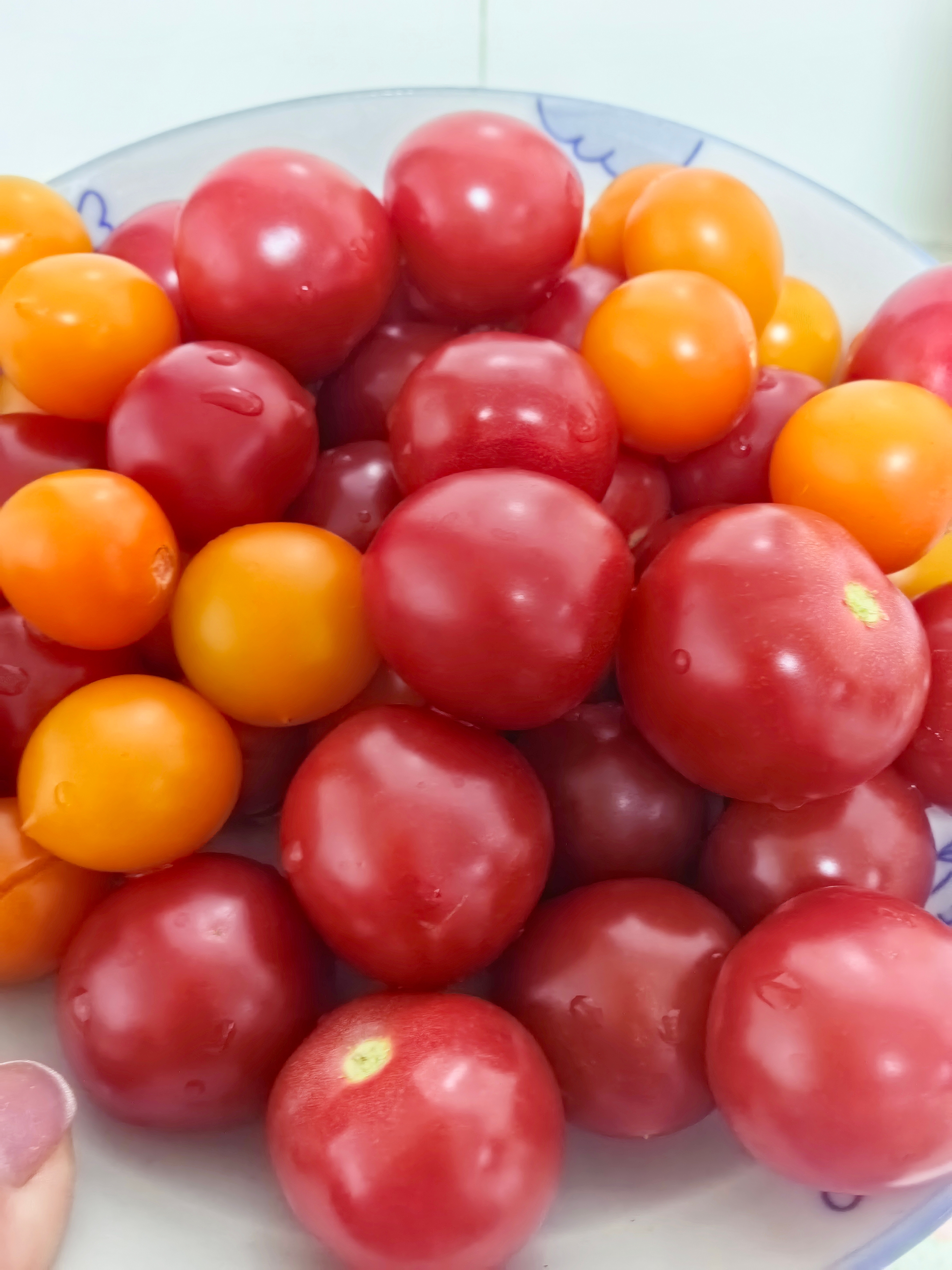 实属过胖了还是省下晚饭吧，今晚只吃小西红柿～ 