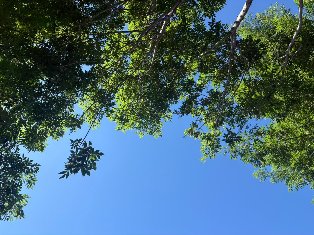 一头扎进大自然🍃 北京·雁栖湖