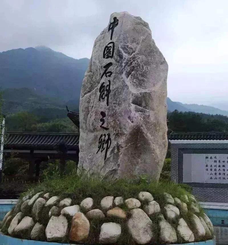 石头长草成宝惊呆西方大叔随着年龄的增长，就越来越注意养生，对于石斛自然是不陌生的