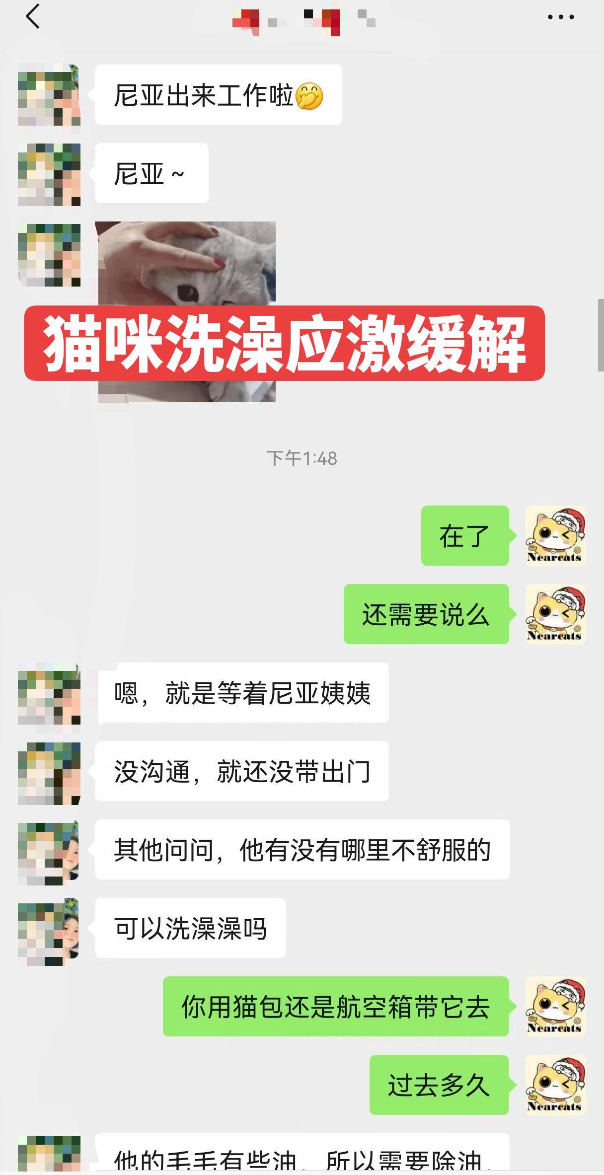 猫咪第一次洗澡怕应激怎么？