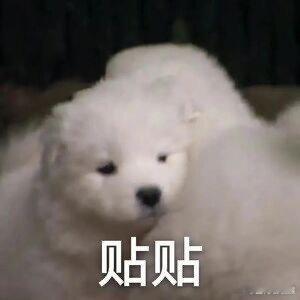 #无意中发现了小时候的自己#不得不说，还得是小时候的自己，每次回忆都是让人怅然若